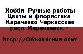 Хобби. Ручные работы Цветы и флористика. Карачаево-Черкесская респ.,Карачаевск г.